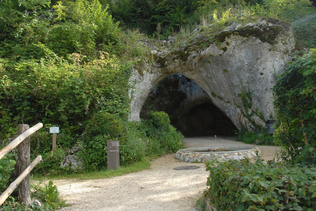 Hotel Gasthof Zum Ochsen Arlesheim Dış mekan fotoğraf