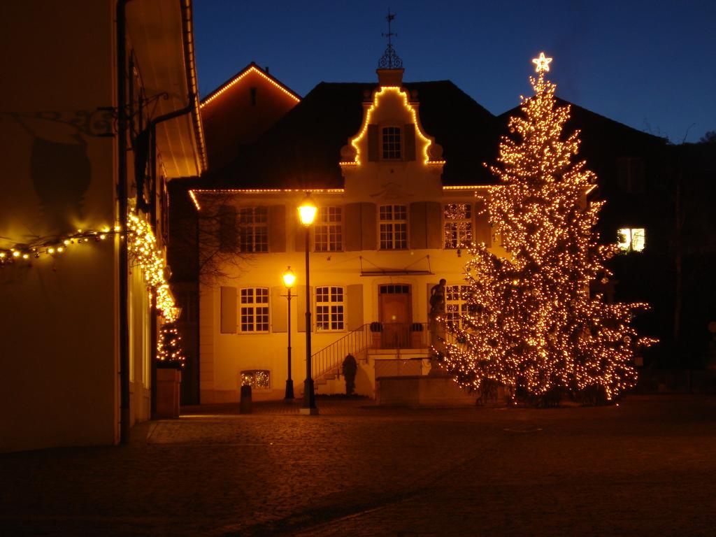 Hotel Gasthof Zum Ochsen Arlesheim Dış mekan fotoğraf
