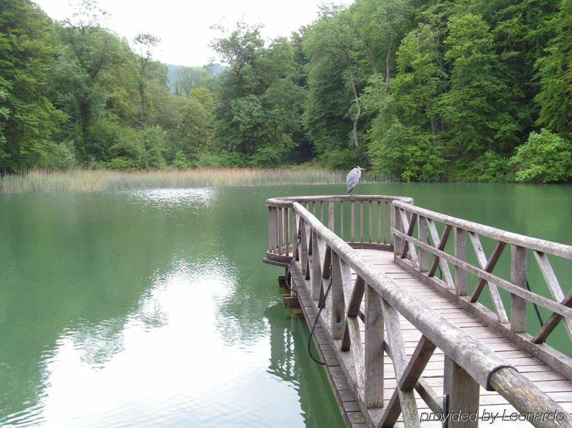Hotel Gasthof Zum Ochsen Arlesheim Dış mekan fotoğraf